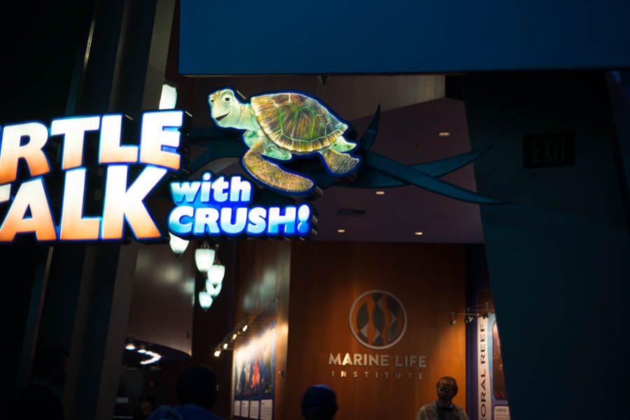 Turtle Talk with Crush Entrance at Animation Courtyard in Disneyland