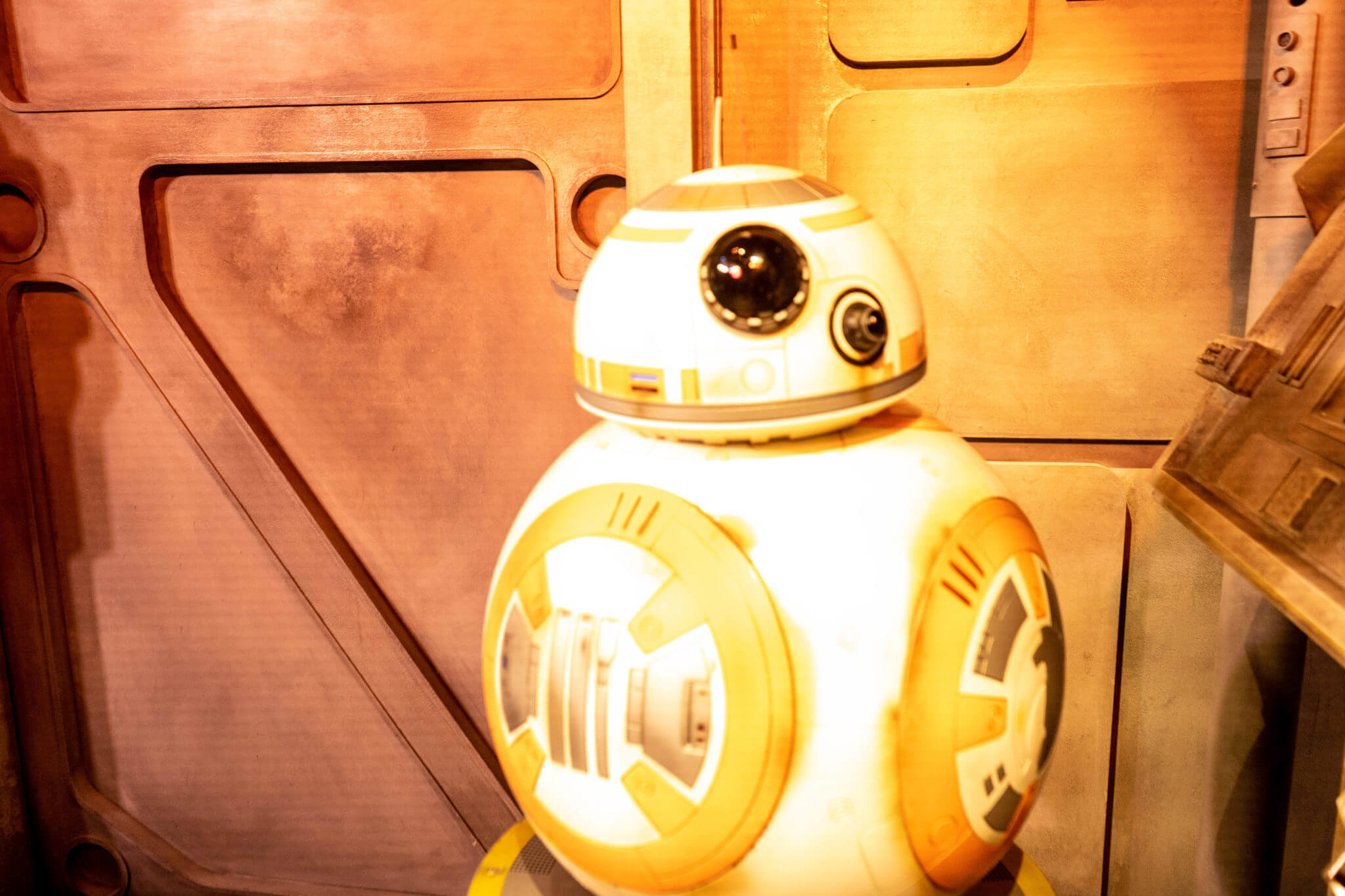 BB-8 meet and greet from star wars: galaxy's edge in hollywood studios