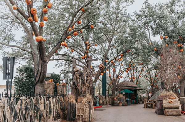 Halloween Horror Nights pumpkin trees. Trick or Treat scare zone at Universal Studios Orlando.