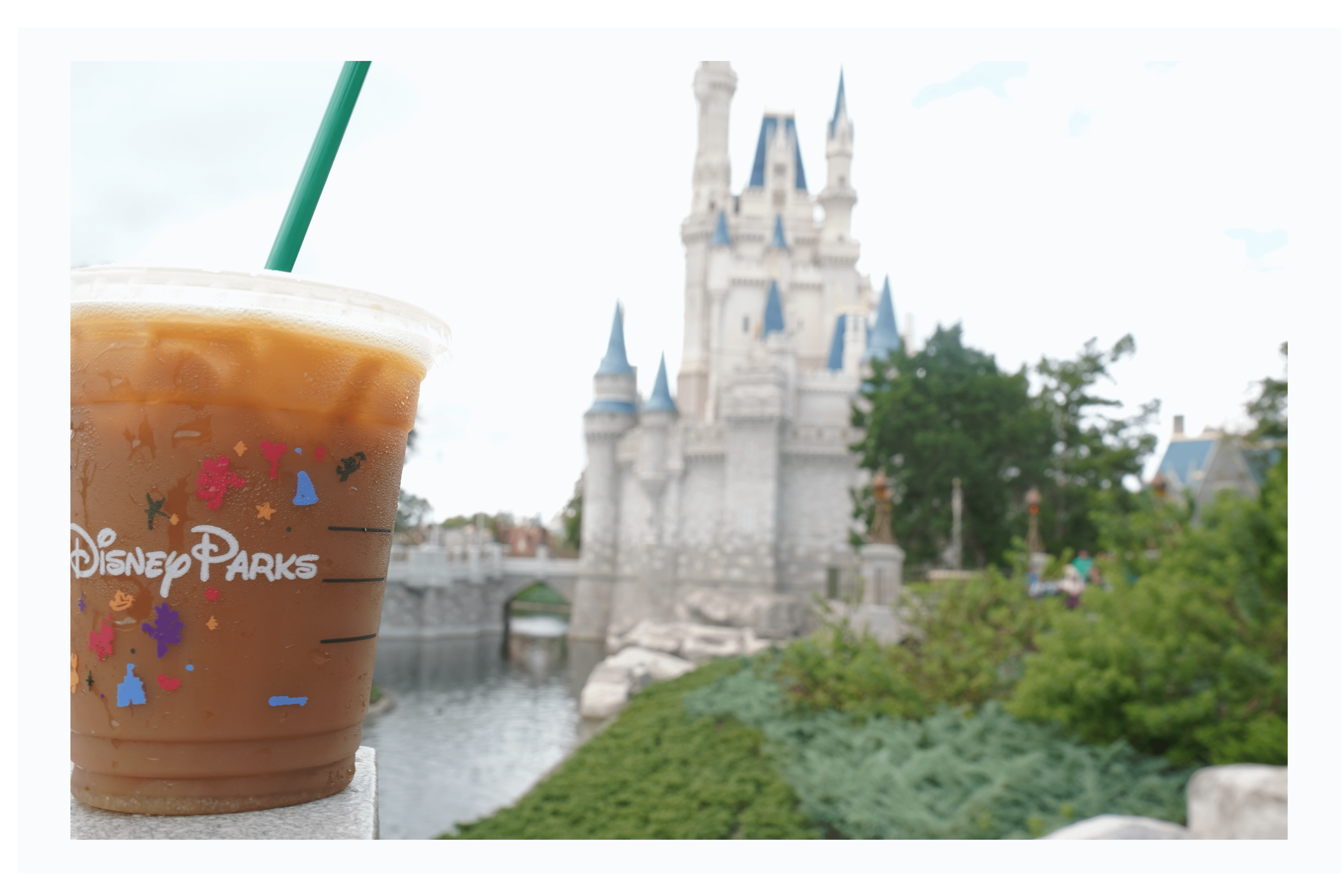 Starbucks iced coffee in front of cinderella castle in Disney World